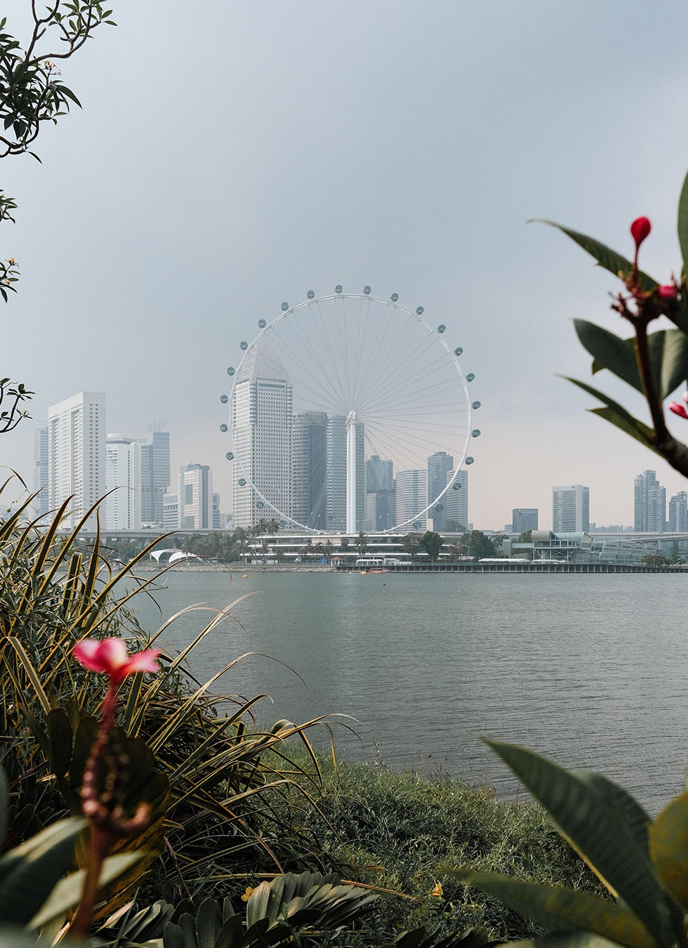 Singapore Ferris Wheel 