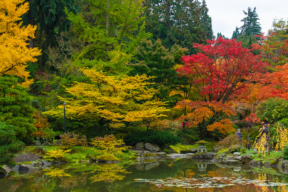 Seattle Hiking Trails 15