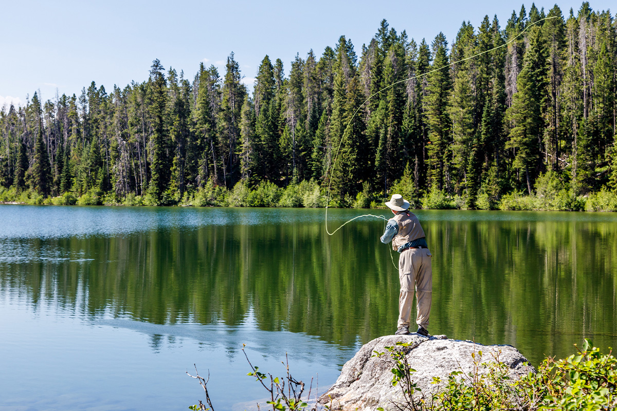 Grand Teton National Park 11