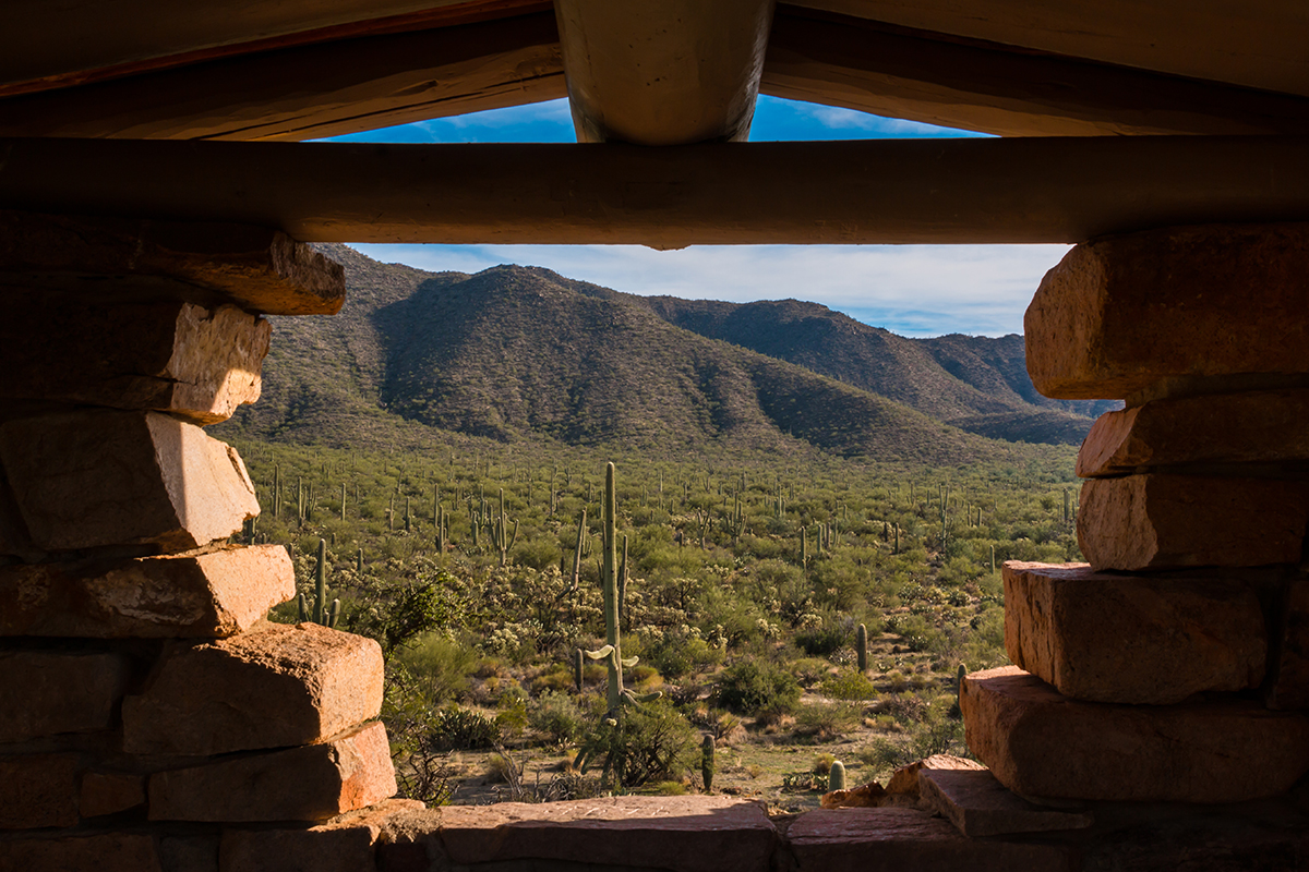 Exploring Saguaro National Park - Top Spots & Park Activities 2