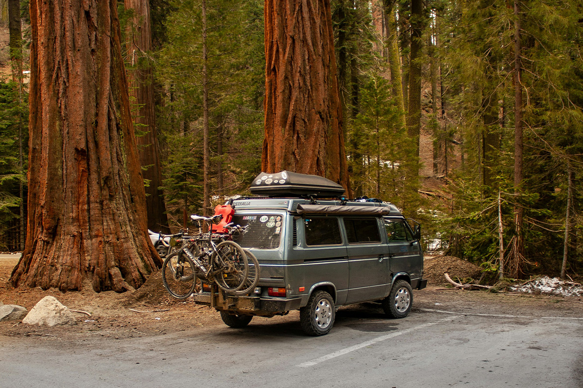 Sequoia National Park  4