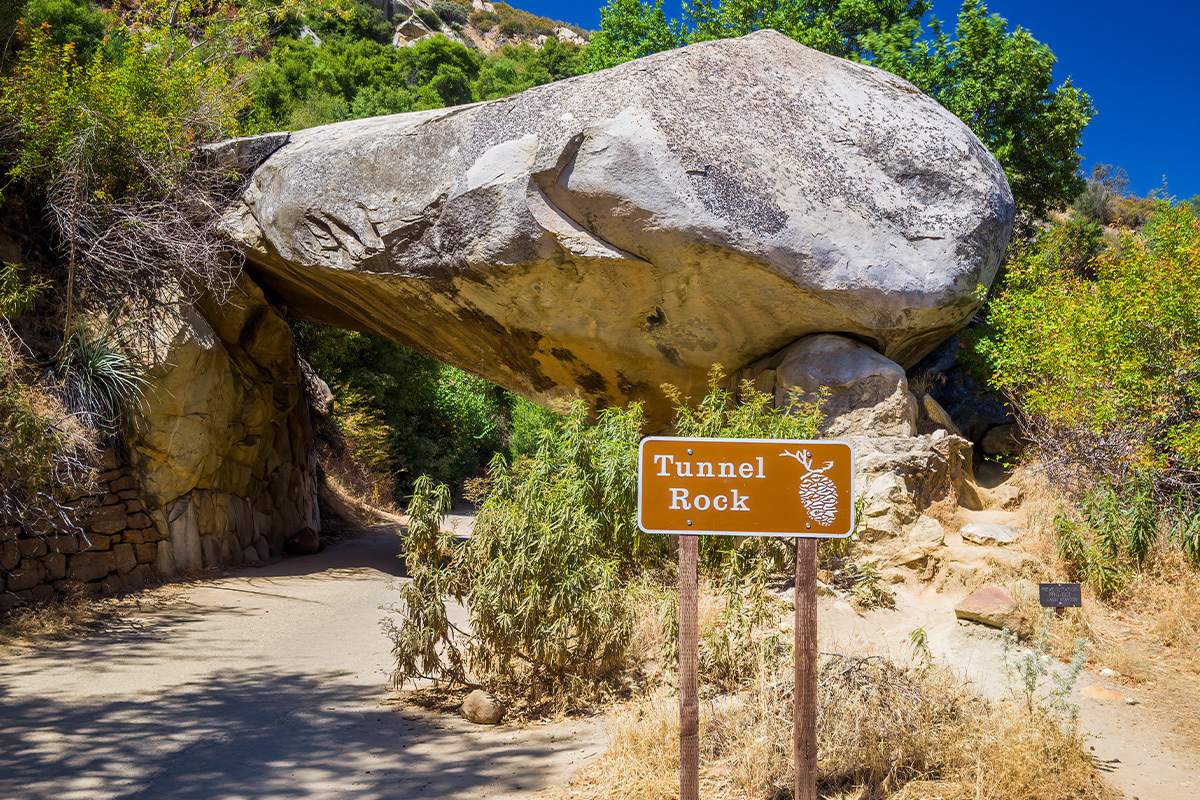 Sequoia National Park  7