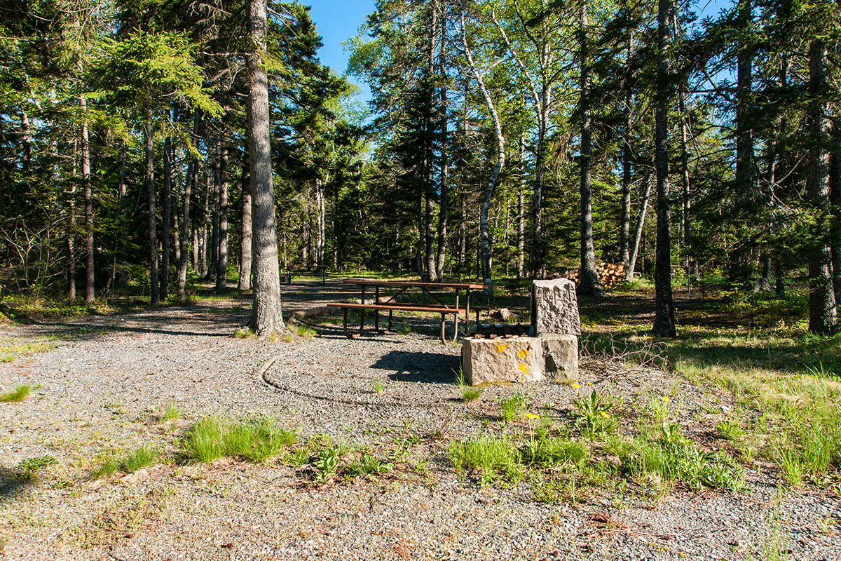 Acadia National Park Camping 4