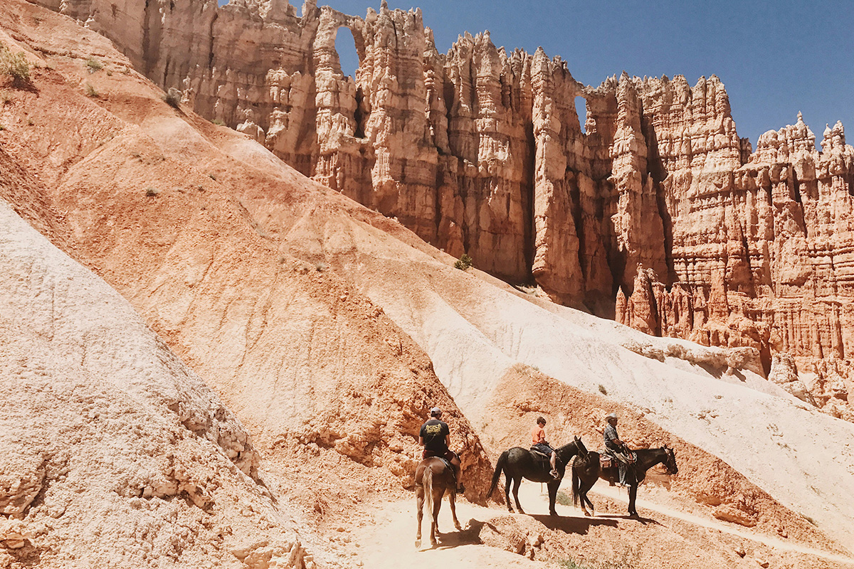 Bryce Canyon National Park 8