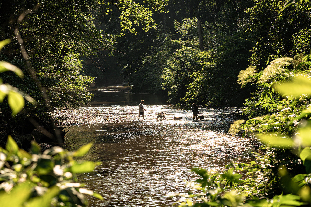 Rock Creek Trail Guide 7