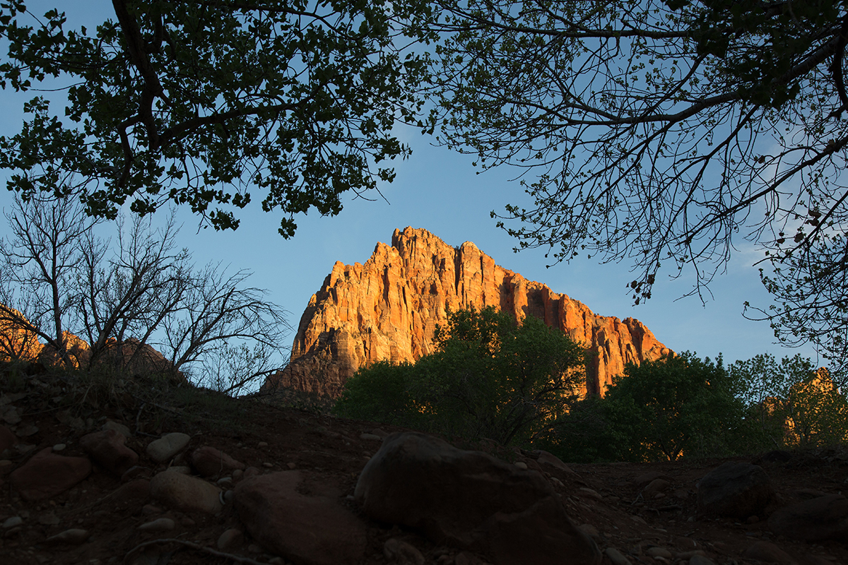 Zion National Park 6