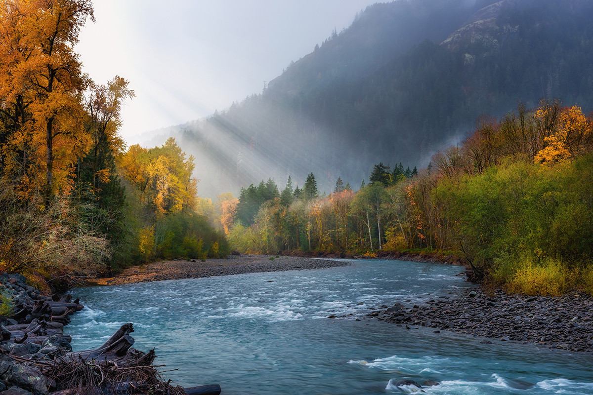 Things to Do in Olympic National Park 11