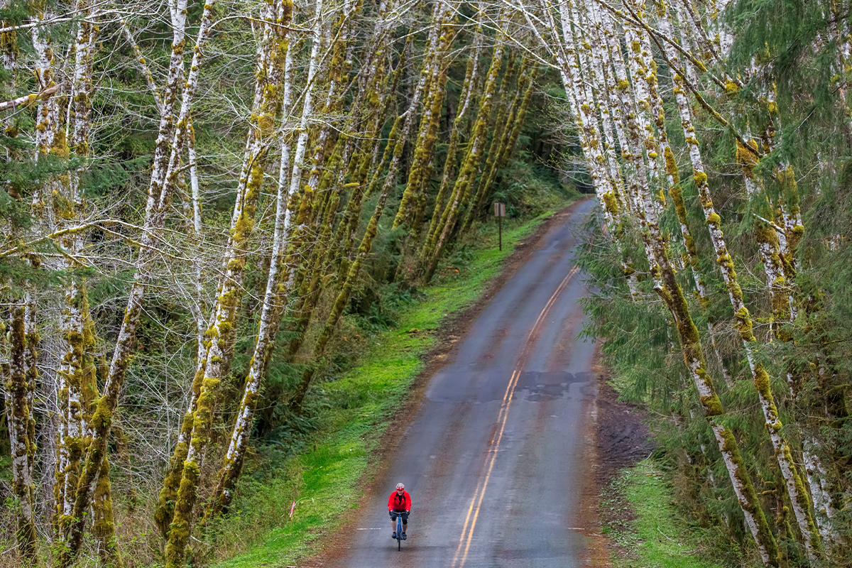 Things to Do in Olympic National Park 3