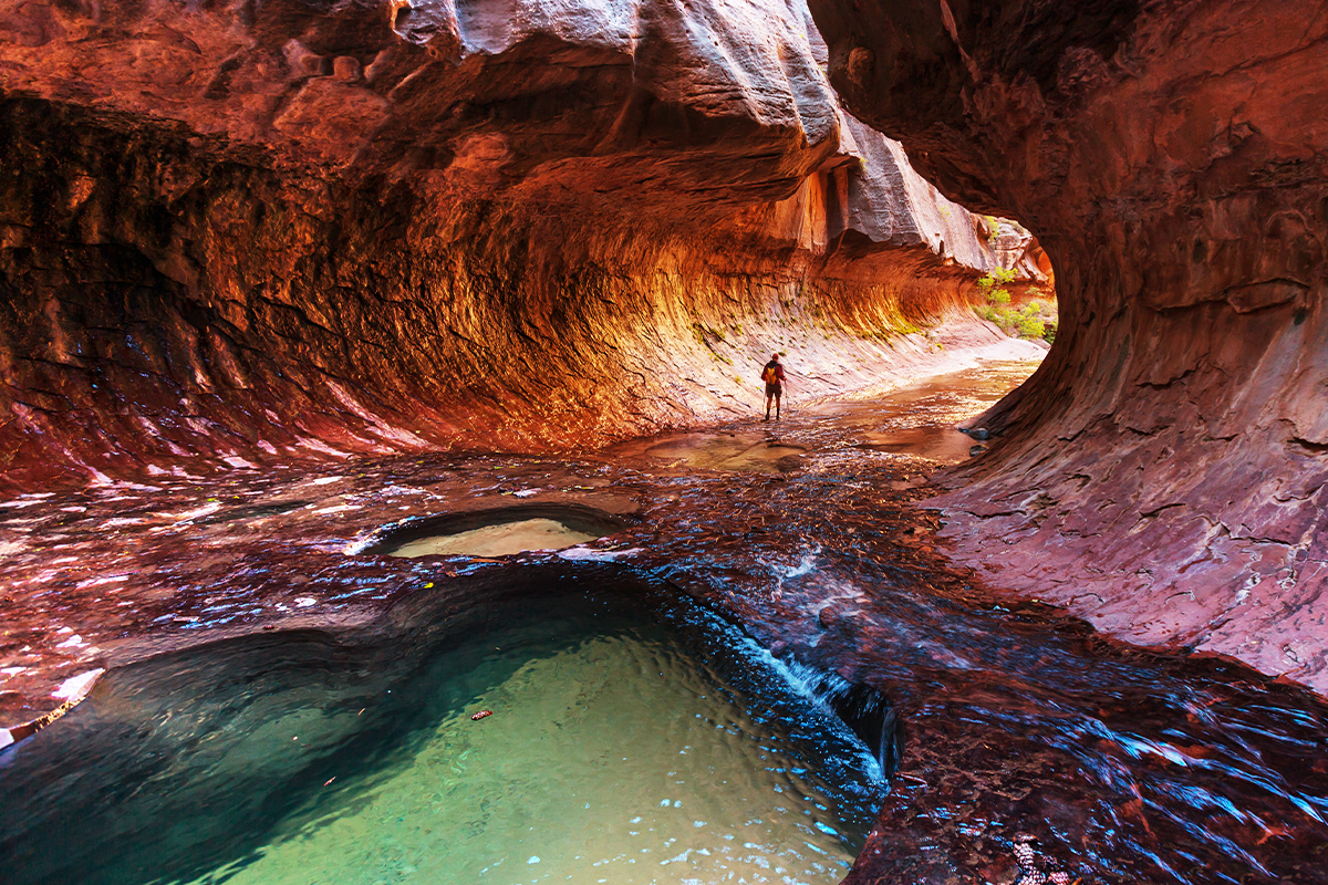 Explore the Beauty of Zion National Park 8