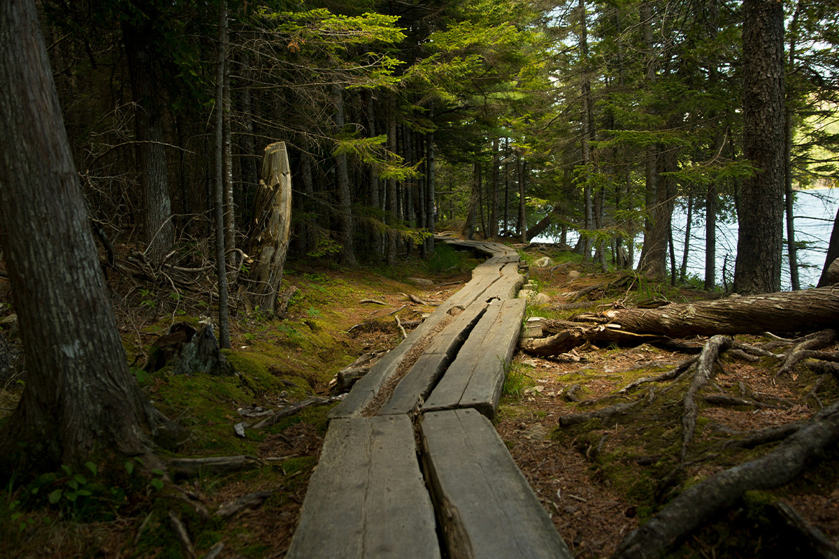 Best Things to Do in Acadia National Park 1