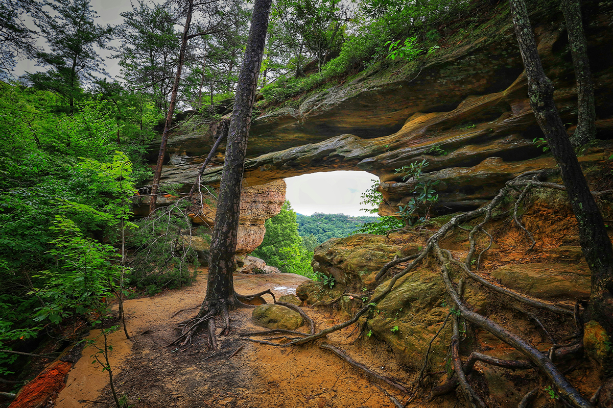 Hiking in Kentucky 1