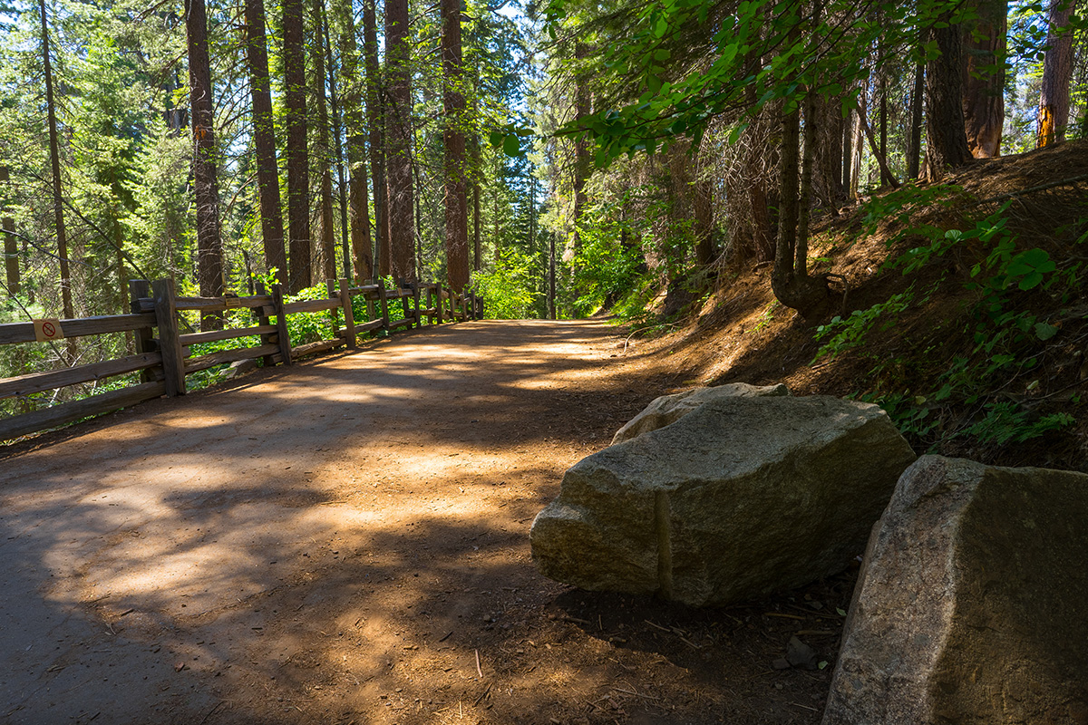 Best Things to Do in Yosemite National Park 10