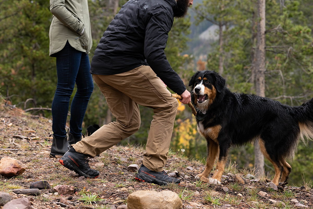 Best Things to Do in Yosemite National Park 12