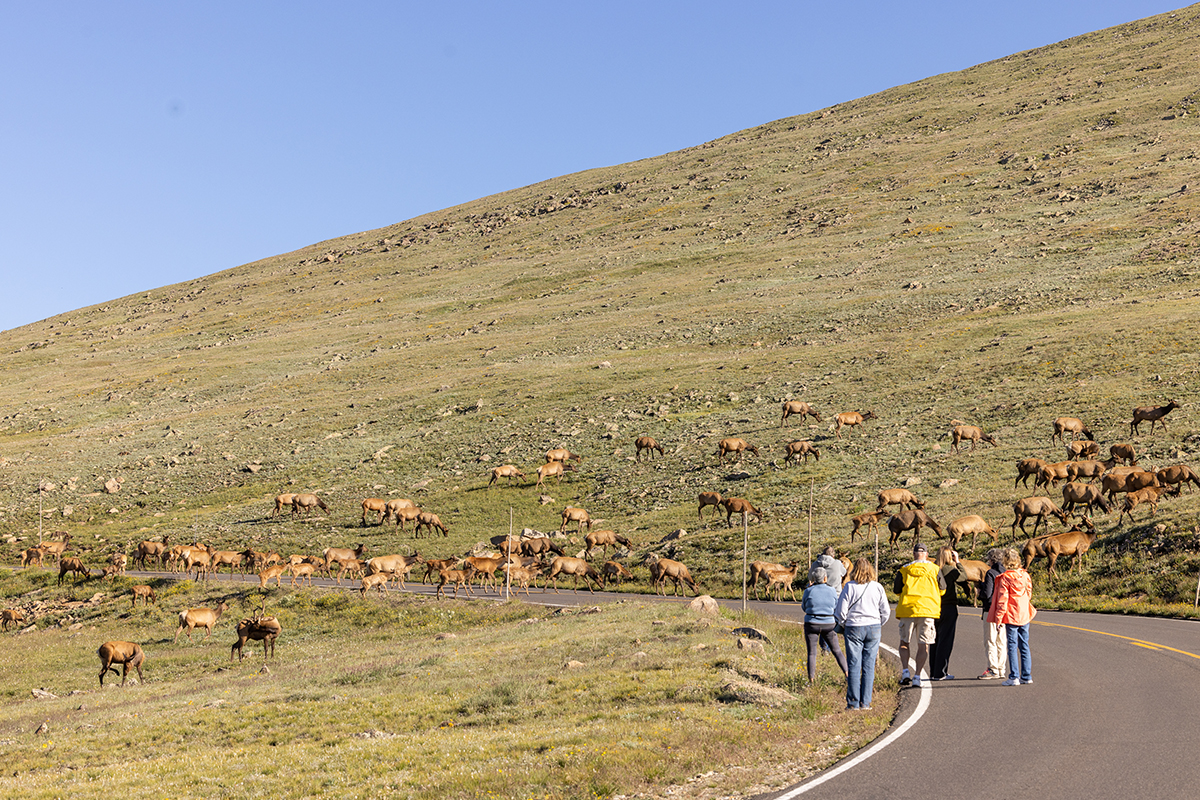 Things to Do in Rocky Mountain National Park 8