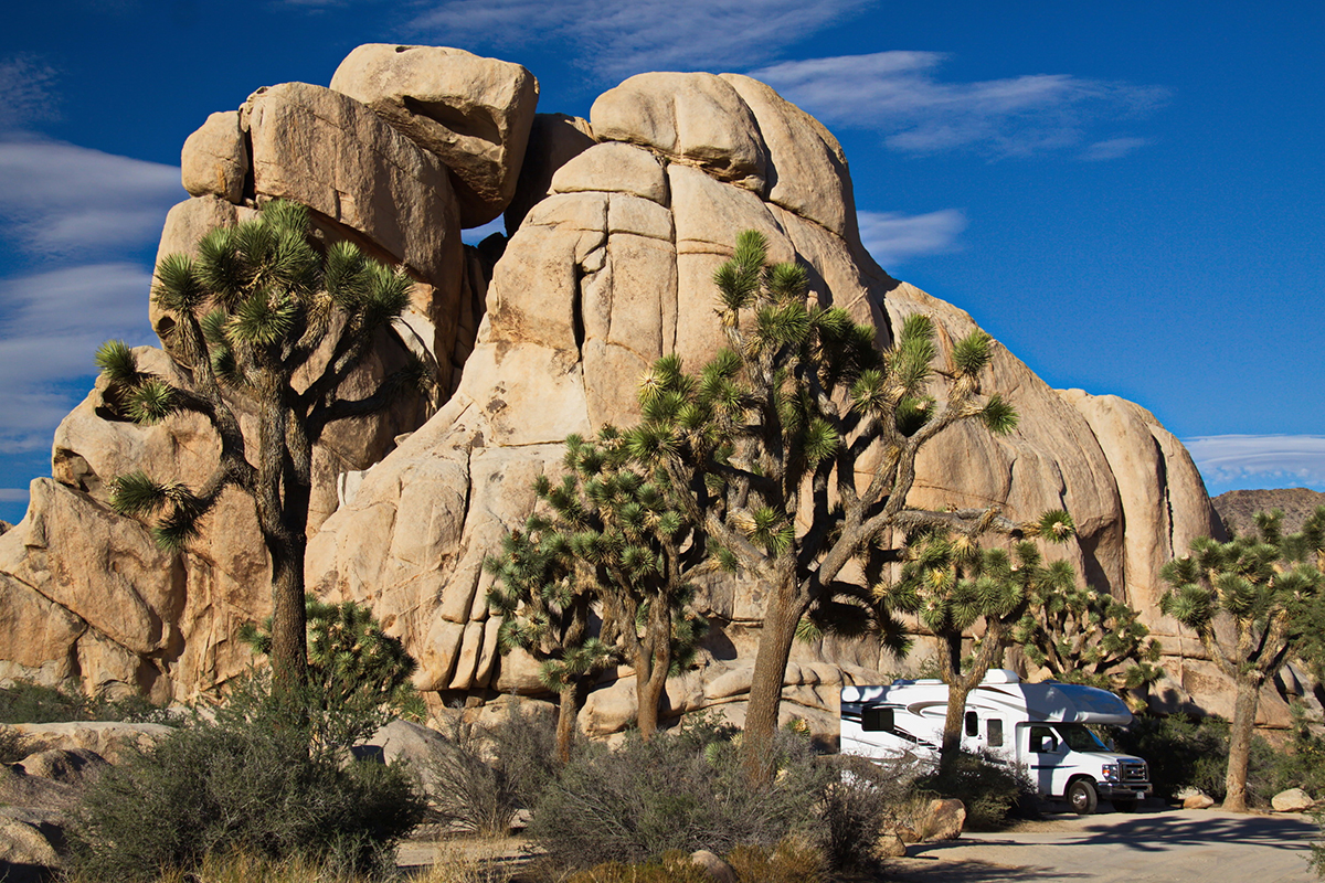 Best Things to Do in Joshua Tree National Park 4