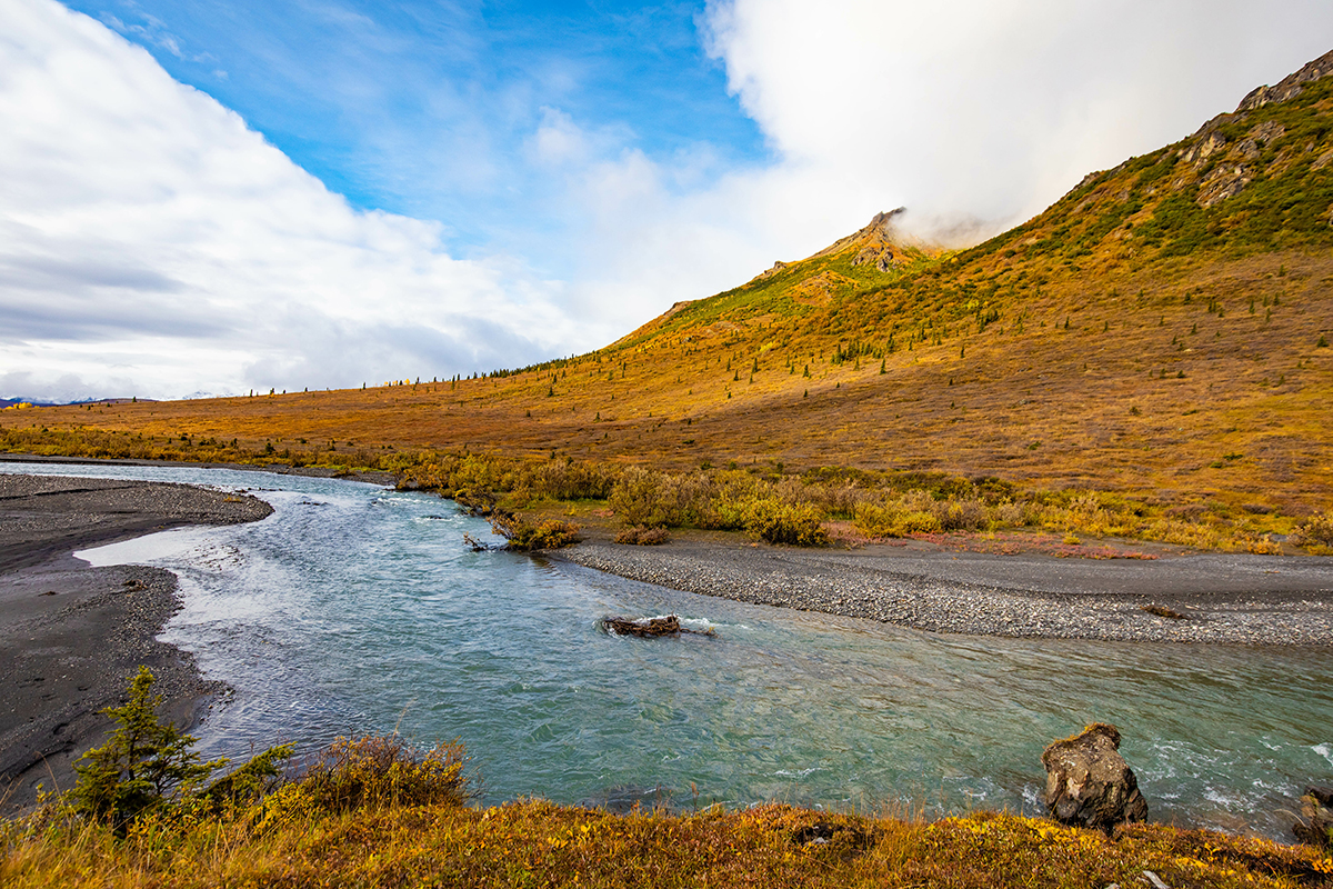 Things to Do in Denali National Park 7