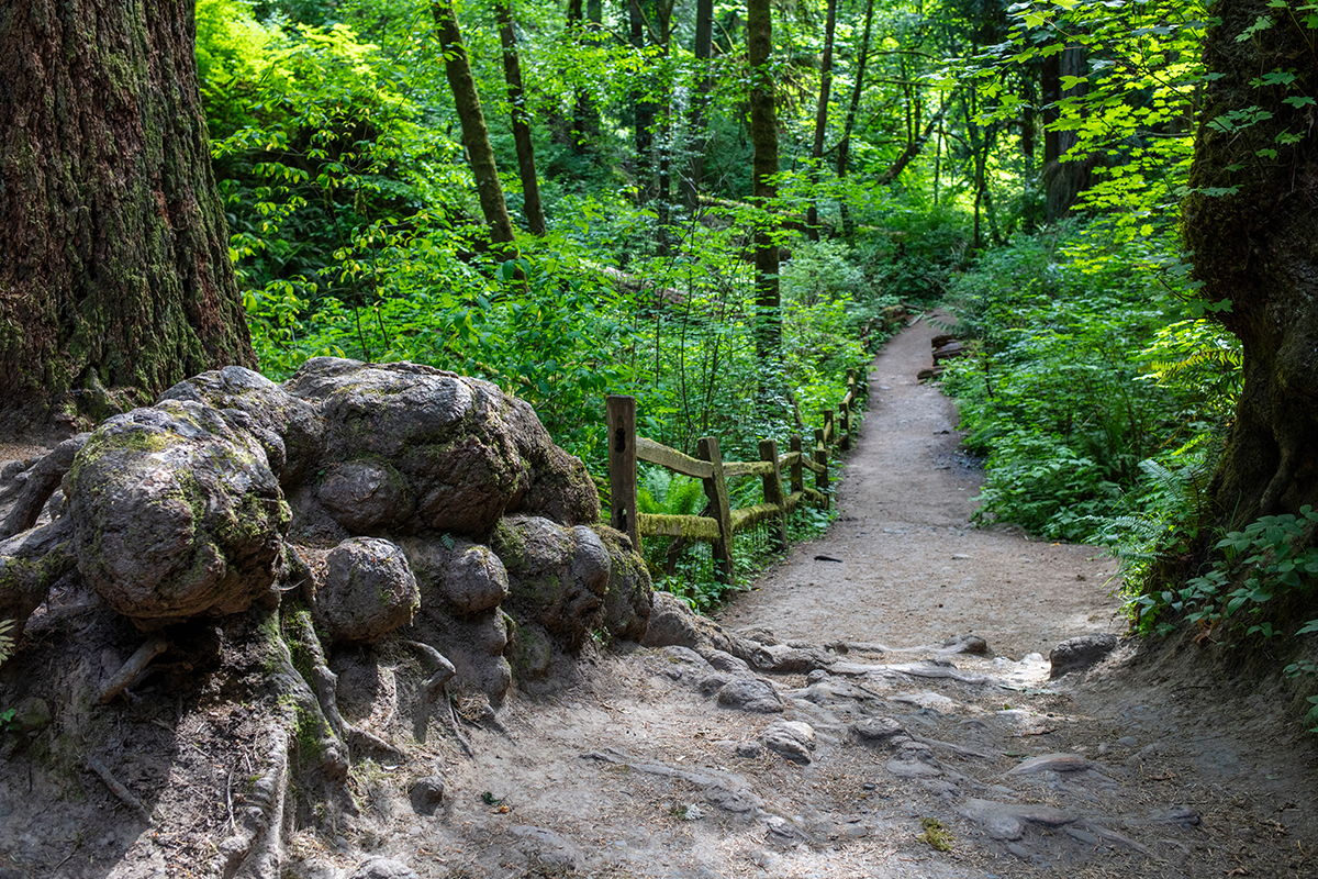 7 Stunning Sunset Hikes Around Portland 3