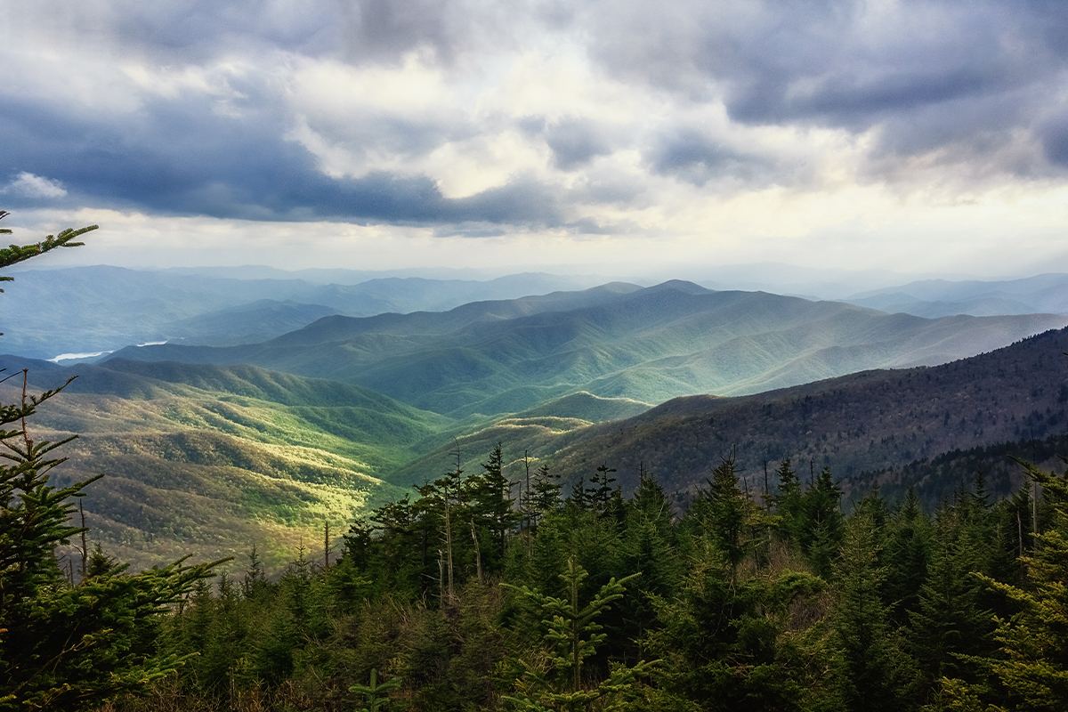 Things to Do in Great Smoky Mountains National Park 11