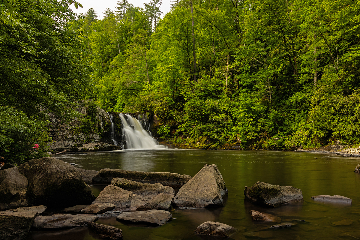 Things to Do in Great Smoky Mountains National Park 7