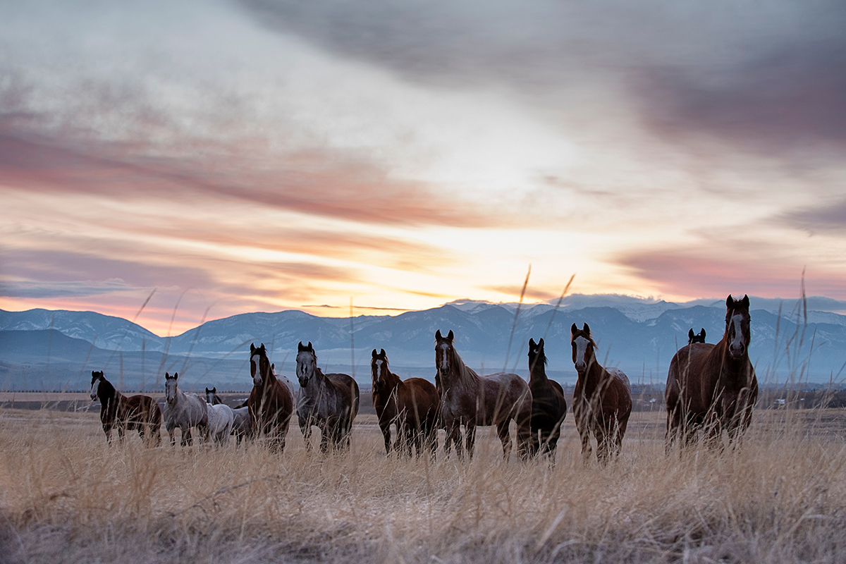 Planning the Perfect Family Vacation in Bozeman 13