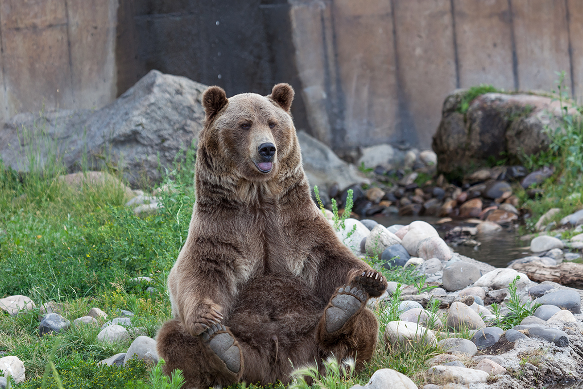 Planning the Perfect Family Vacation in Bozeman 9