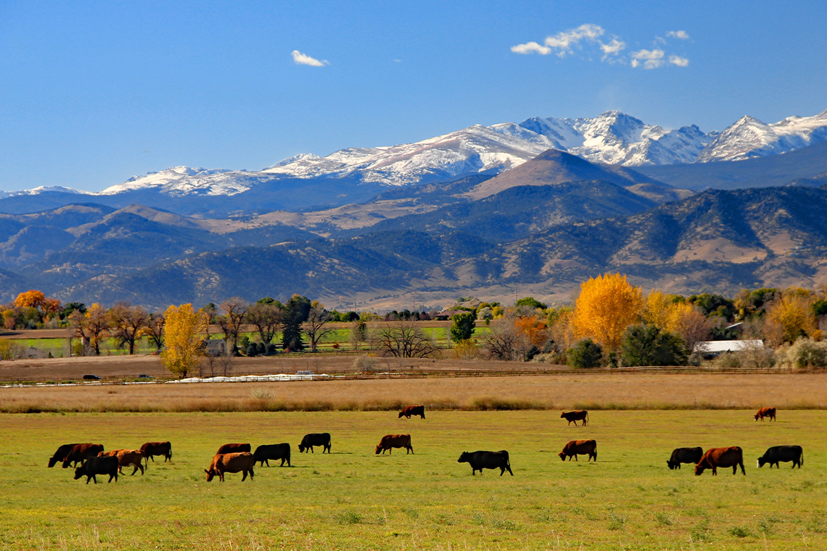 The 10 Best Hikes in Boulder 7