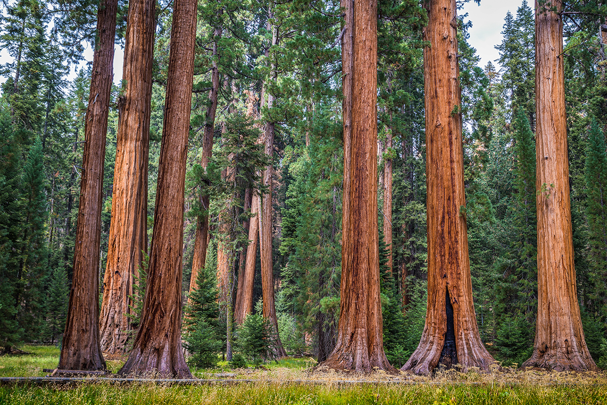 Best Hikes in Sequoia National Park 10