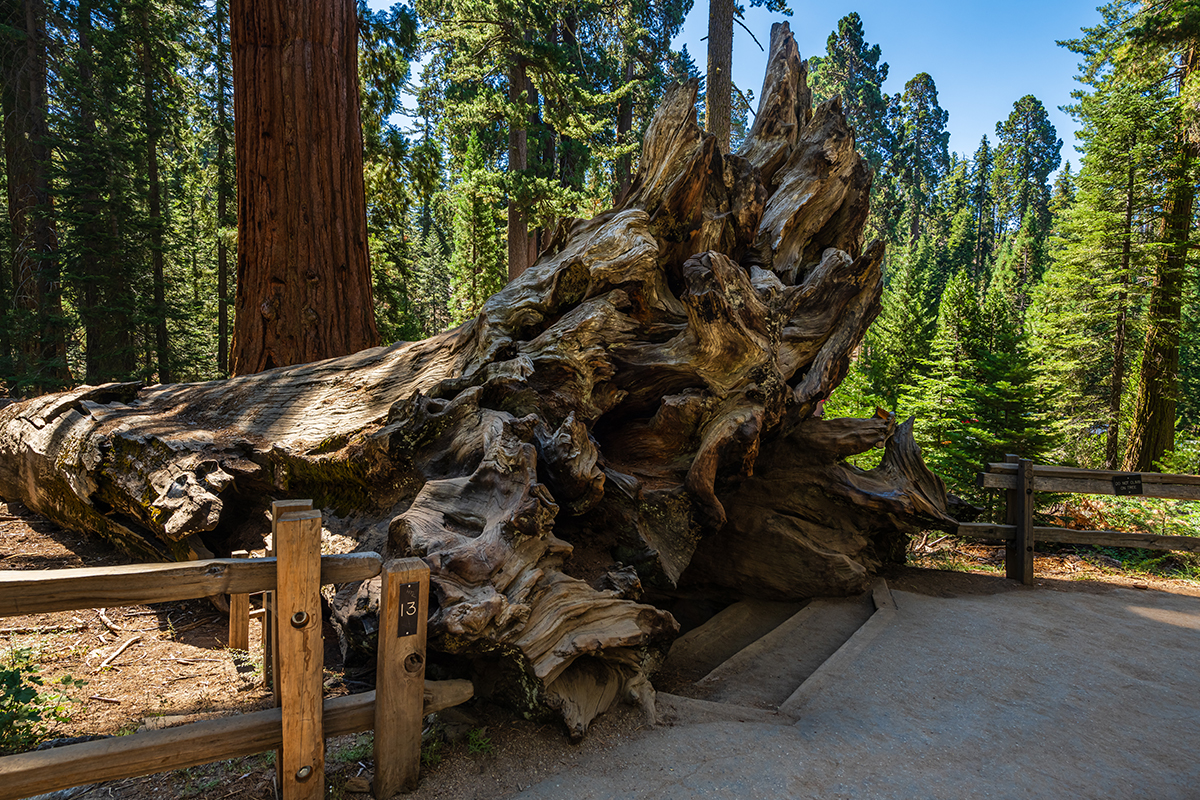 Best Hikes in Sequoia National Park 4