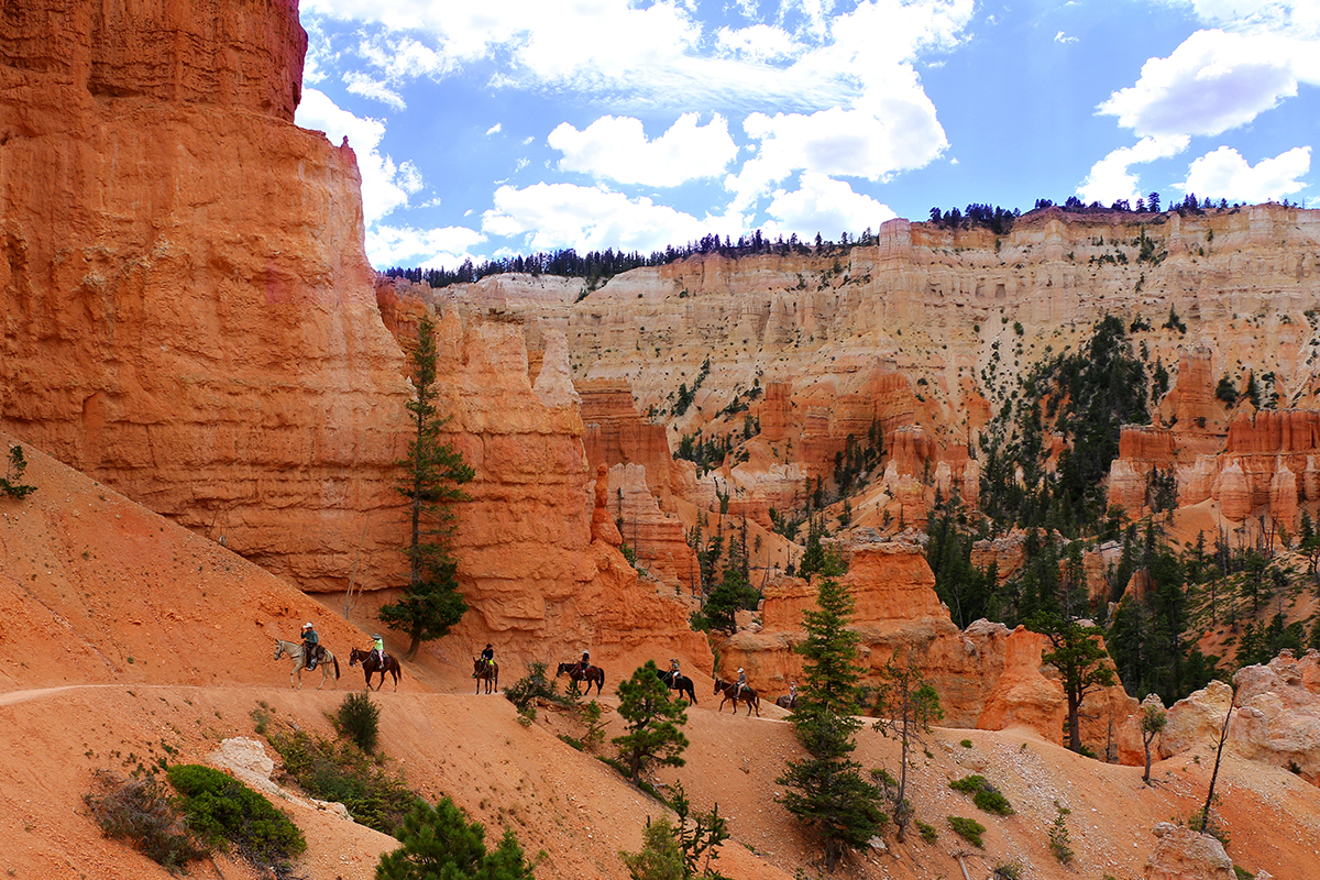 Best Things to Do in Bryce Canyon National Park 18