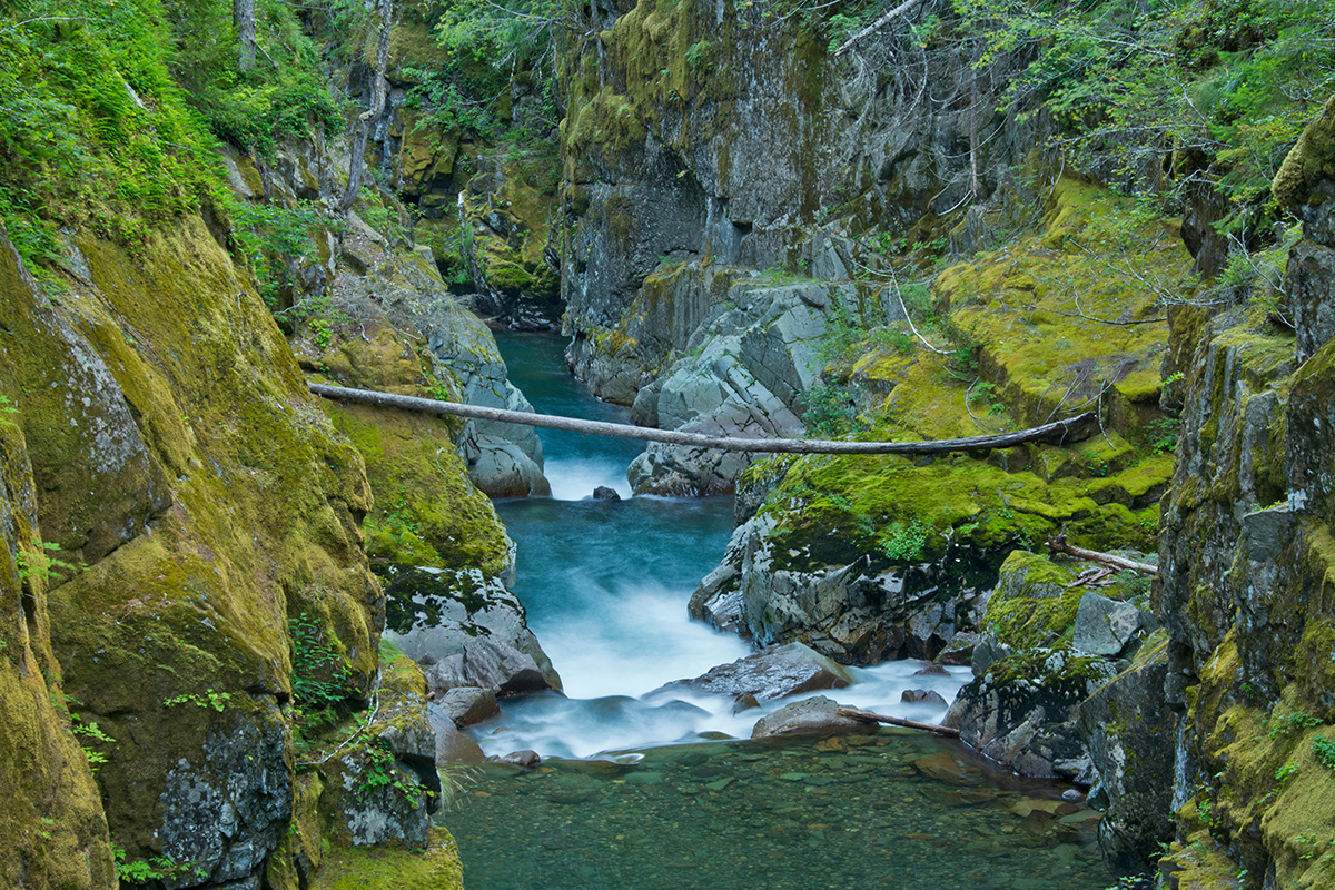 Things to Do in Mount Rainier National Park 3