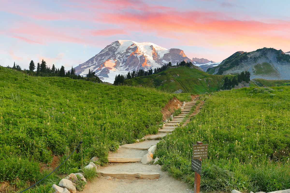 Things to Do in Mount Rainier National Park 6