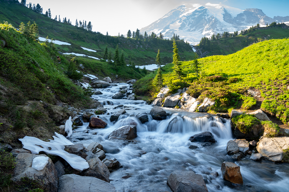 Things to Do in Mount Rainier National Park 7