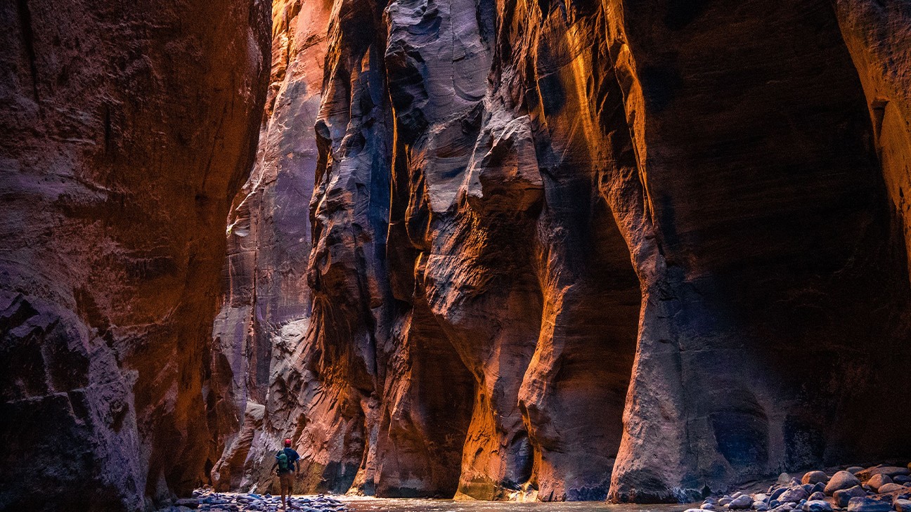 Zion National Park fi