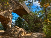 Hiking in Kentucky FI