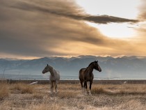 Planning the Perfect Family Vacation in Bozeman fi