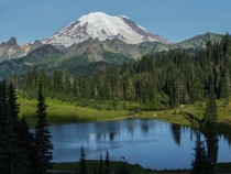 Things to Do in Mount Rainier National Park fi