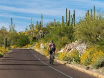 What to Do in Saguaro National Park: The Ultimate Guide fi