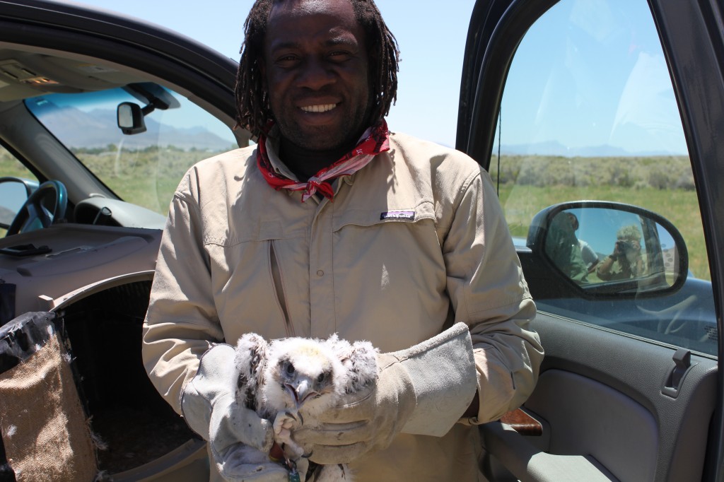 Shawn with a falcon