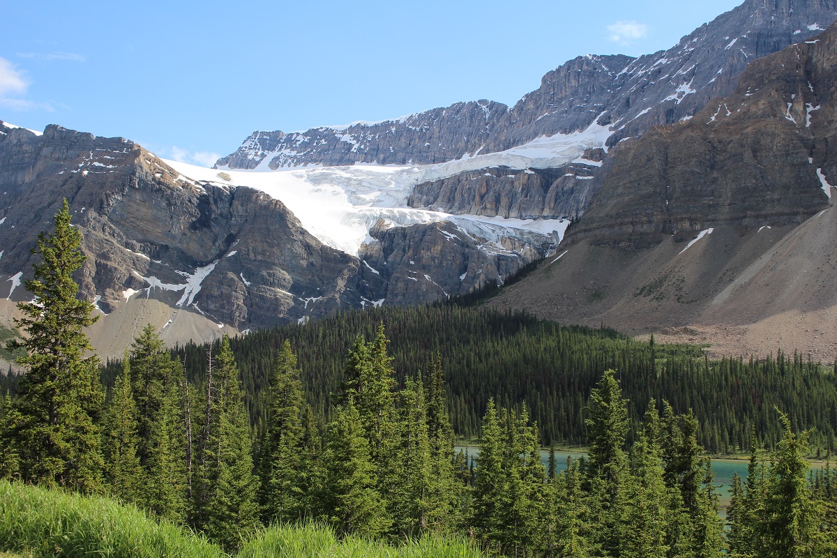 glacier_icefieldsparkway