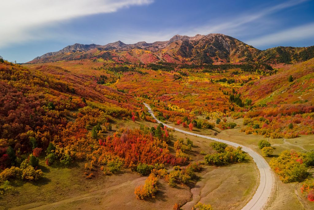 Aerial view of Snow basin in Utah filled with brilliant fall foliage near Mt Ogden