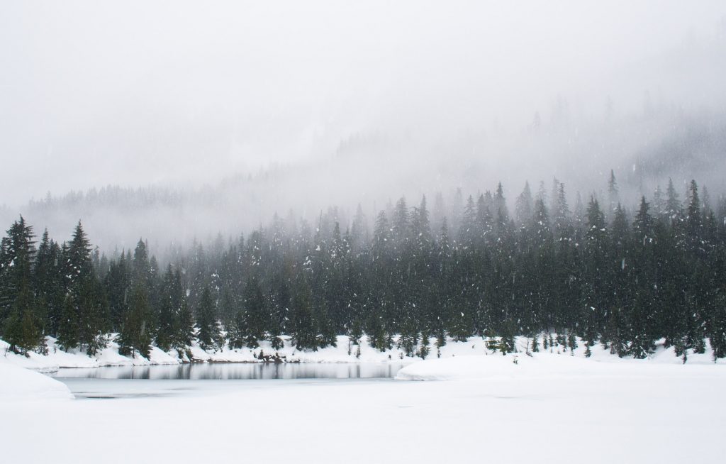 Snowshoeing on a snowy day at Gold Creek Pond