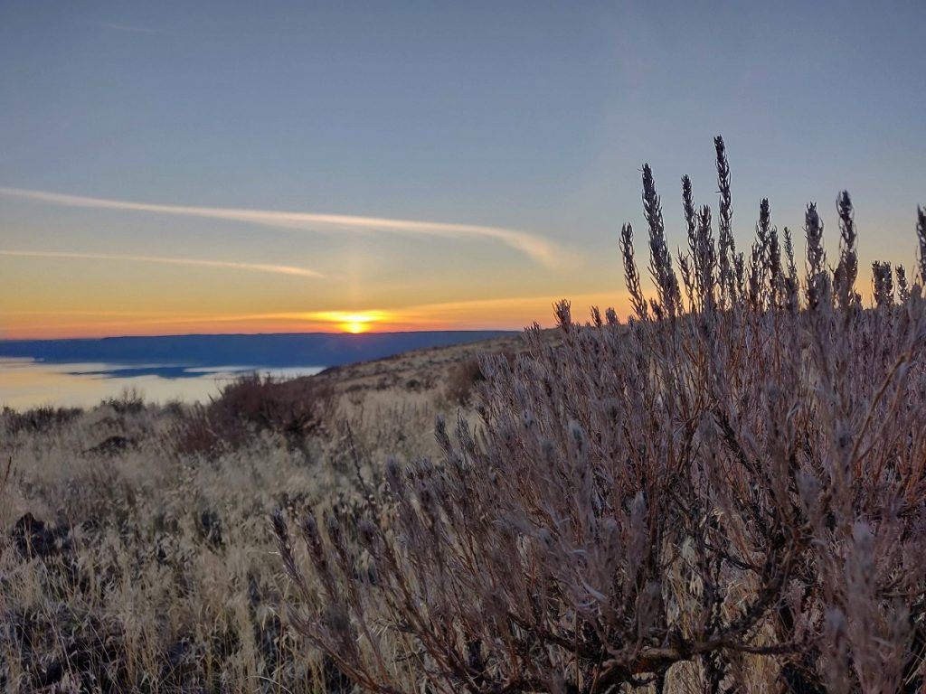 SteamboatRock SageBrush