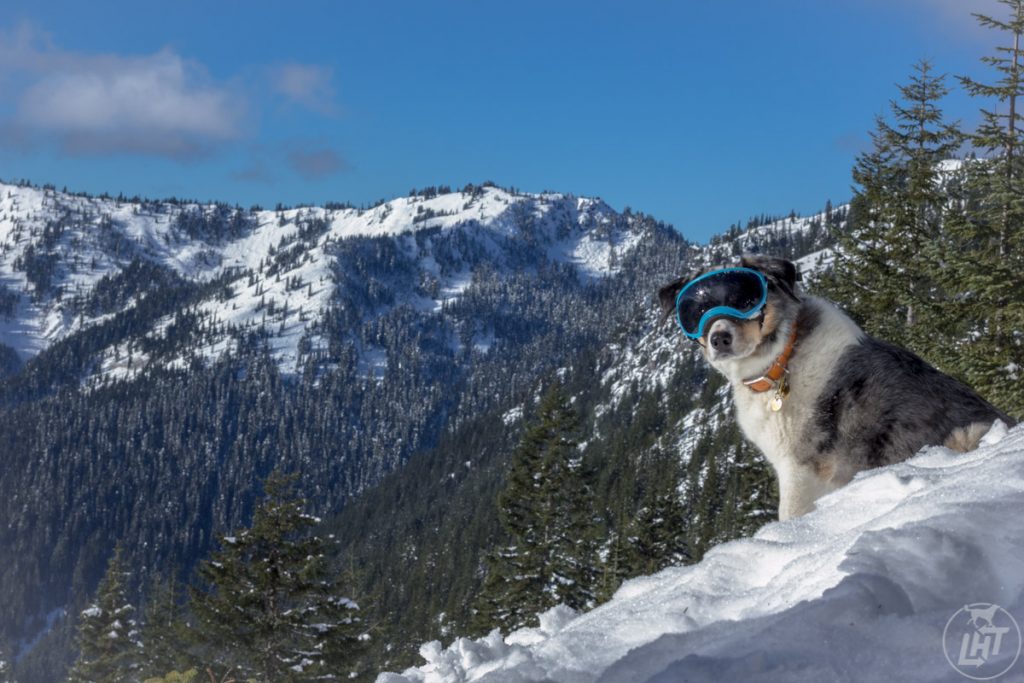 Sora Skyline lake Doggles