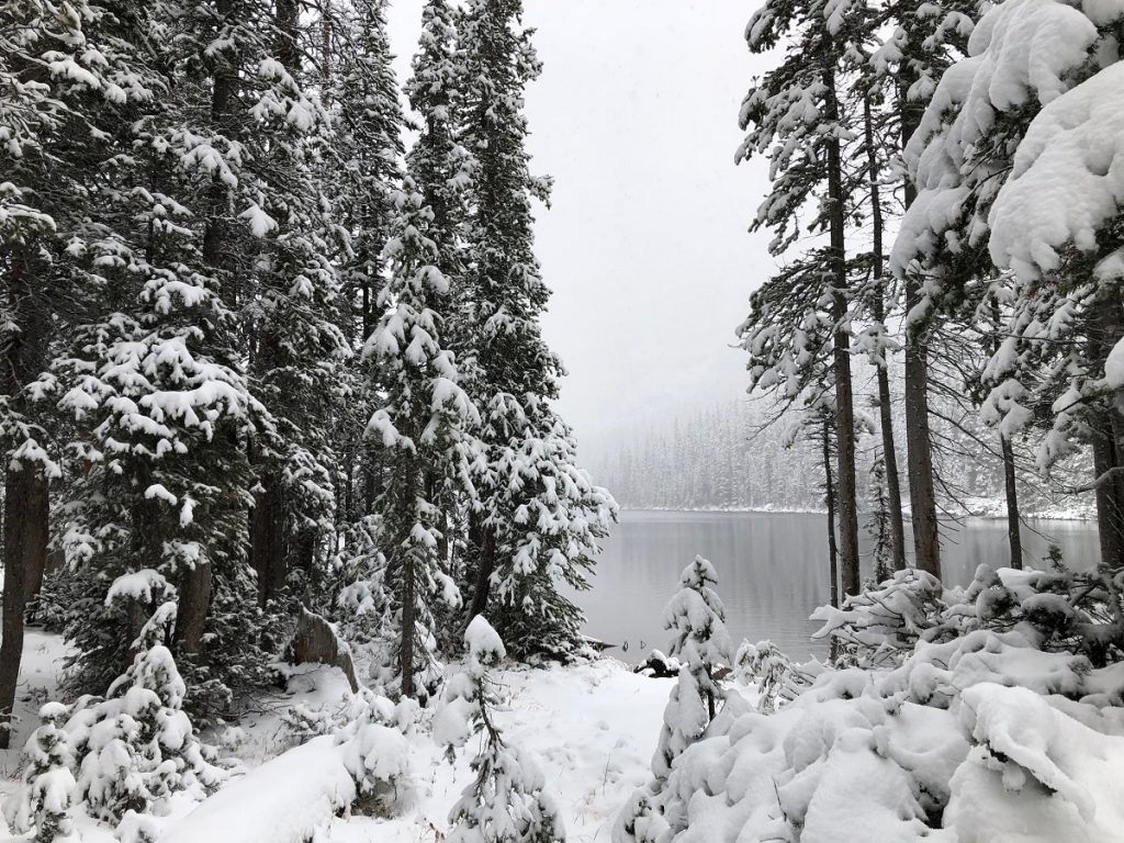 TimberlineLake Snow