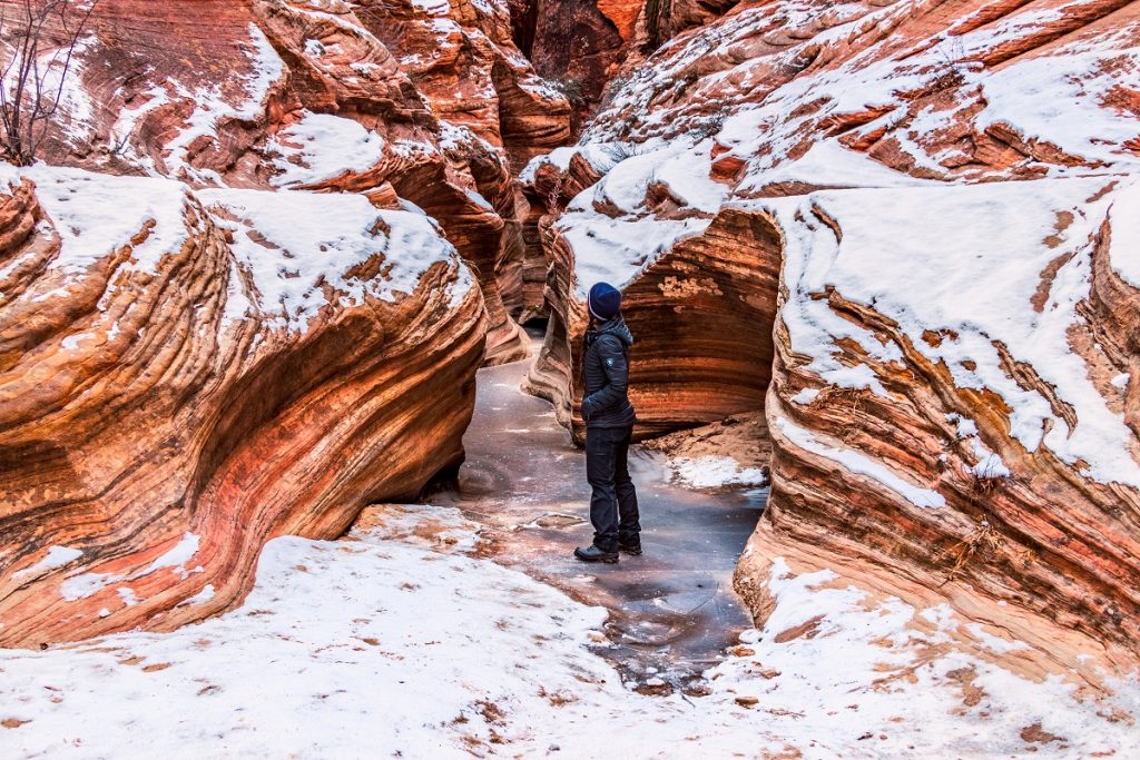 Zion EchoCanyon Royce