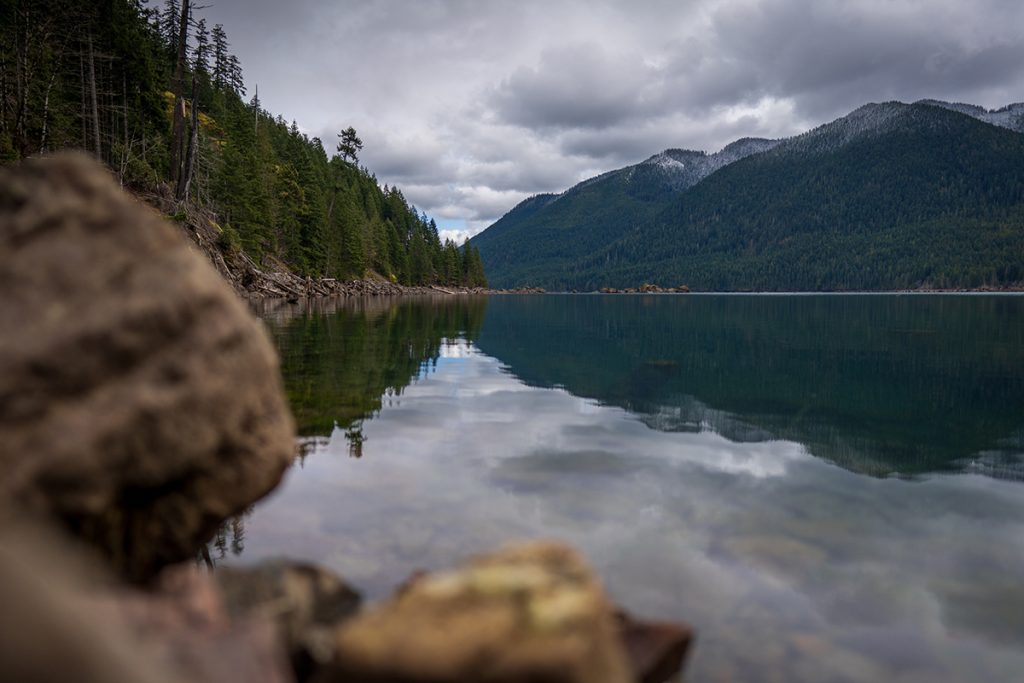 green trees beside lake under cloudy sky during daytime