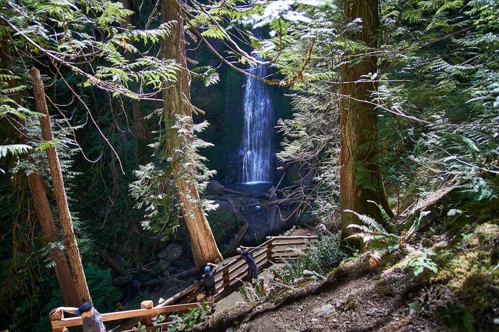 trail in forest with waterfall in distance