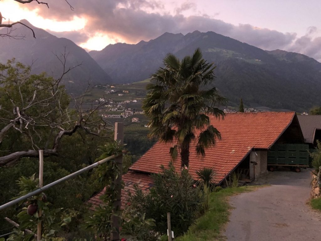 Vendemmia Roof