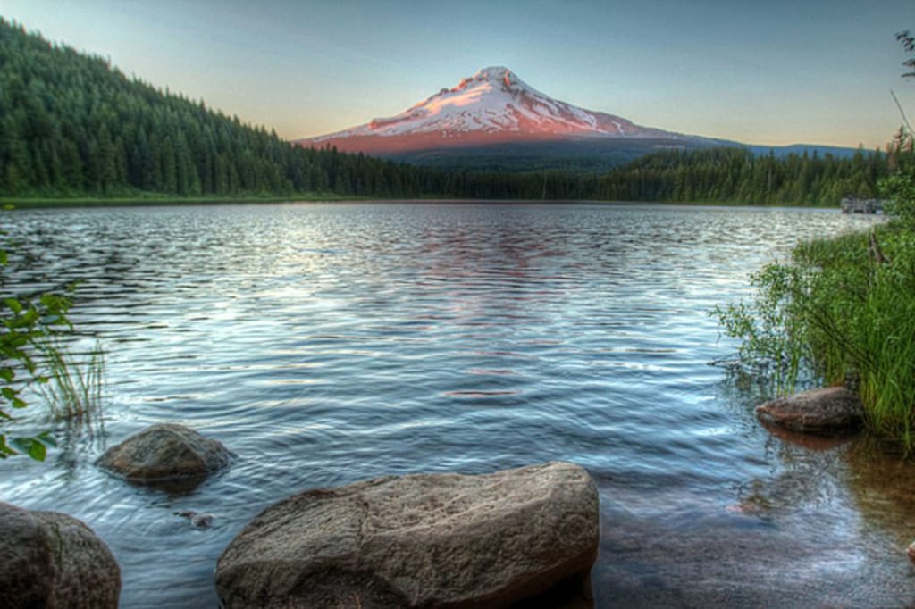 8 of the Best Wildflower Hikes Near Portland Trilium Lake Loop