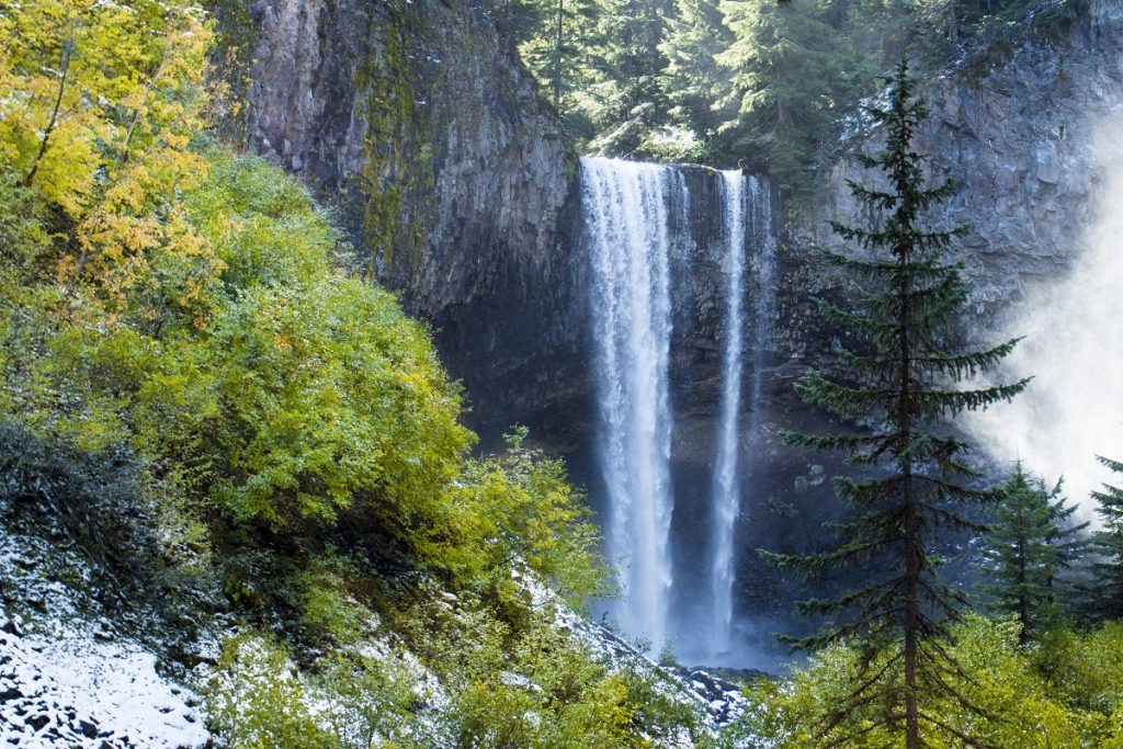 water falling from gray rocks with pine tree in front